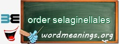 WordMeaning blackboard for order selaginellales